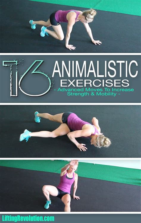 25+ Animal flow training beginner | absworkoutroutine