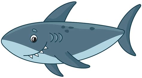 Shark clipart. Free download transparent .PNG | Creazilla