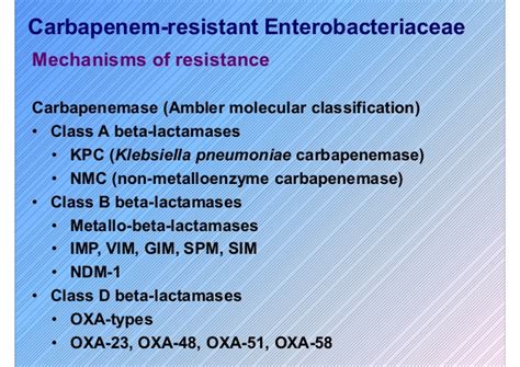 Proteus Mirabilis Treatment - lgfasr