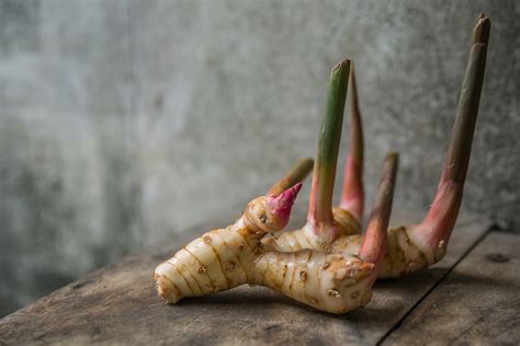 Galangal: how to grow & use - Plantura