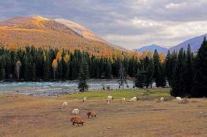 Photos, Images & Pictures of Tuwa Tribe, China Silk Road Xinjiang