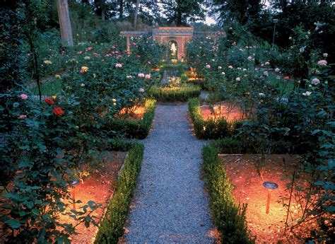 Rose garden at night : pics