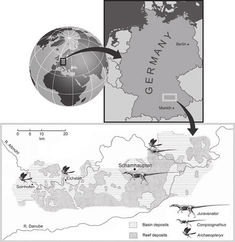 Geographic location of Juravenator starki (JME Sch 200), Compsognathus... | Download Scientific ...