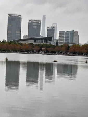 Century Park (Shanghai) - 2020 All You Need to Know BEFORE You Go (with Photos) - Tripadvisor