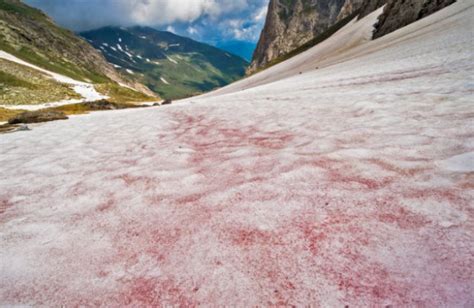 Why 'watermelon snow' doesn't taste nearly as good as it sounds