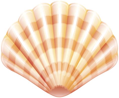 clam shell clip art free 20 free Cliparts | Download images on ...