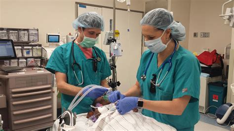 Clinical Experience | Department of Anesthesiology