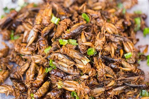 Cricket Bug fried Asian Insect Snack food, High Protein from nature. — Stock Photo © coffeekai ...