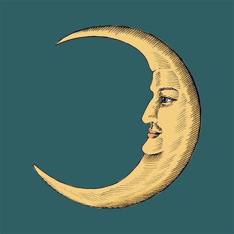 Premium Vector | Hand drawn sketch of a crescent moon