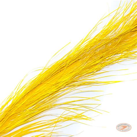 Rhea Feathers | Fly Fishing Plummage | Gear for Fly Fishing