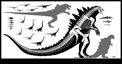 Godzilla 2014,1998,1954 Skeletal Diagram A by JES86 on DeviantArt