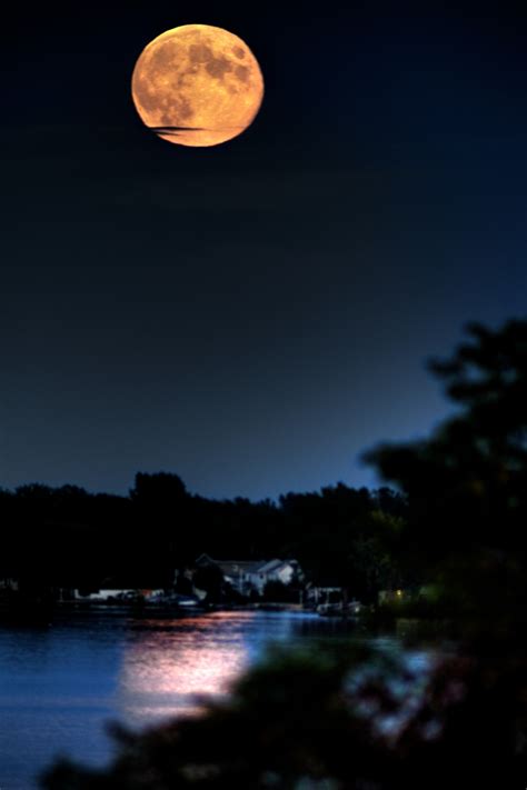 Harvest Moon photos | CTV News