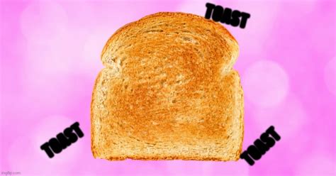 toast Memes & GIFs - Imgflip