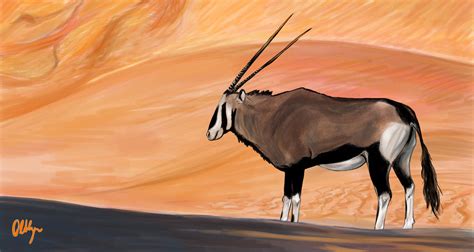 Oryx antelope by olthyer on DeviantArt