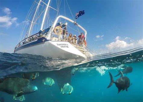 Whitsundays Snorkeling Information | Whitsunday Islands Tours