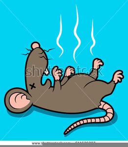 Dead Rat Clipart | Free Images at Clker.com - vector clip art online ...