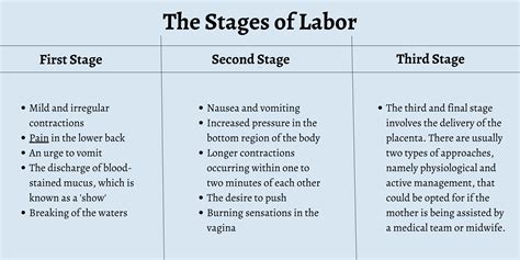 Stages Of Labor Diagram