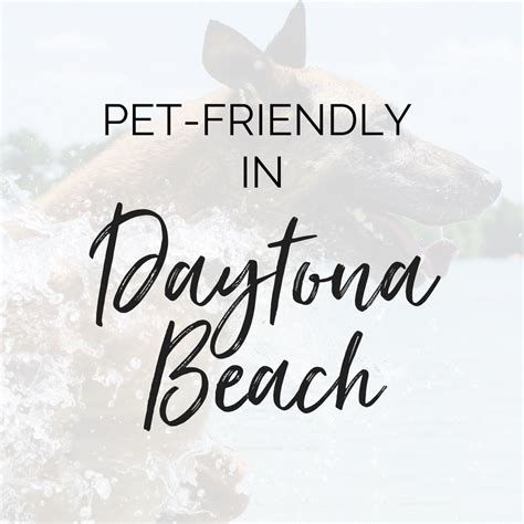 A Pinterest board about pet-friendly places in Daytona Beach, Florida ...