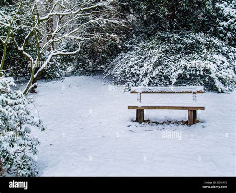 Bench snow hi-res stock photography and images - Alamy