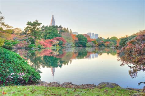 Autumn 2013: Shinjuku Gyoen National Garden – Lakbayer