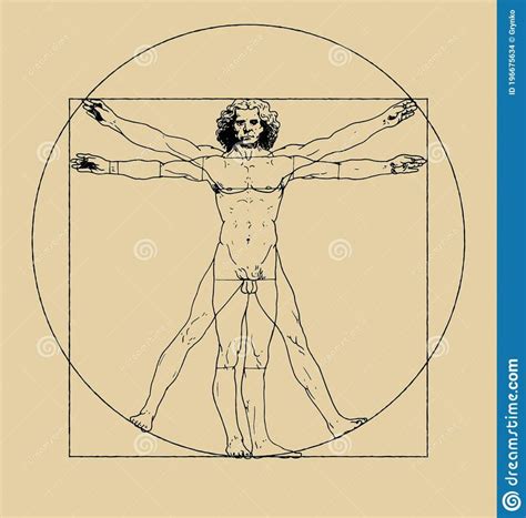 Illustration about Vitruvian Man drawing by Leonardo da Vici. Clean ...