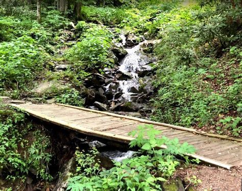 The Hike To Otter Falls In Seven Devils North Carolina Has A Waterfall ...