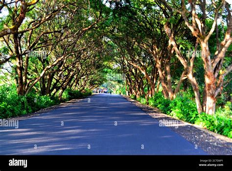 Bahir Dar city, Ethiopia Stock Photo - Alamy