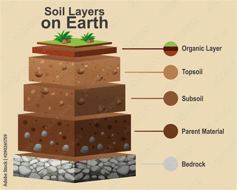 Diagram showing different layers of soil Stock Vector | Adobe Stock