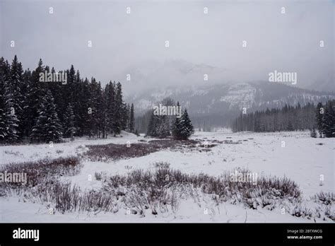 Winter in Banff National Park in Canadian Rocky Mountains Stock Photo ...