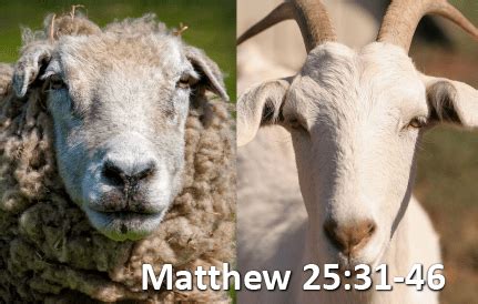 What’s the Parable of the Sheep and Goats About? - St. Ignatius ...