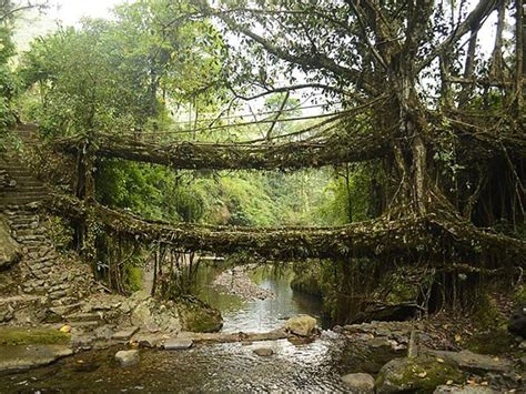 Mawsynram: అత్యధిక వానలు పడే ప్రాంతం మాసిన్రాం.. అక్కడ ప్రజలు ఎలా ...