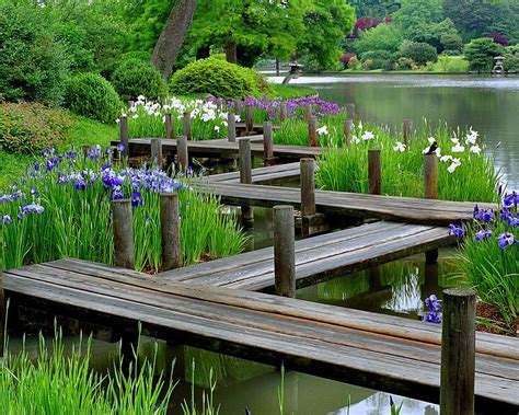 Water Irises And Boardwalk In A Japanese Garden by Greg Matchick | Japanese garden, Japanese ...