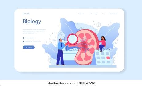 Anatomy School Subject Web Banner Landing Stock Vector (Royalty Free ...