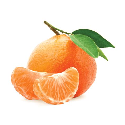 S and J Mandarin Grove – Organic Mandarin Oranges in Newcastle, CA ...