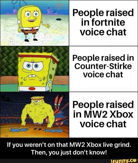 People raised in fortnite voice chat People raised in Counter-Stirke ...