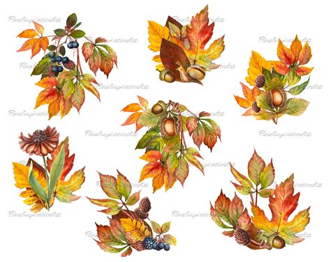 Fall Watercolor Clipart Fall Leaves PNG Autumn Clipart Fall - Etsy