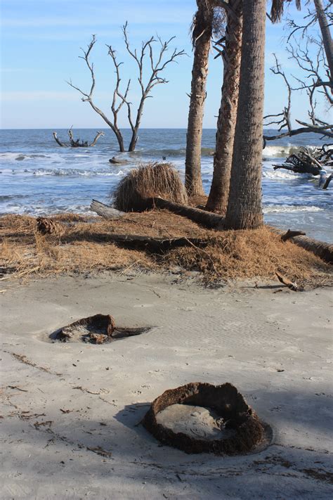 Hunting Beach, S.C. | South carolina, Beach, Hunting