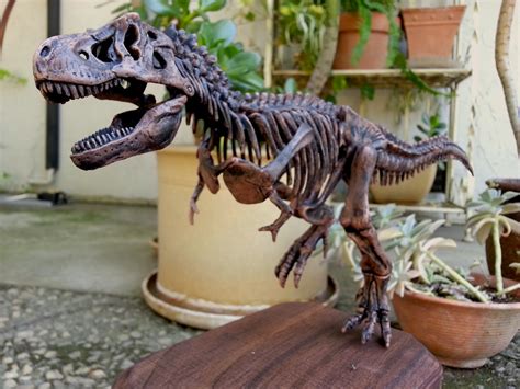 CrabFu Blog: T-Rex Toy Skeleton Makeover