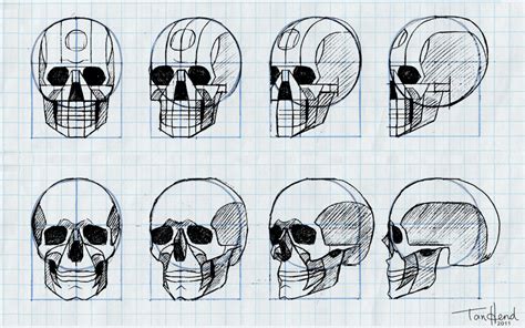 Draw Speak: Graph paper skulls