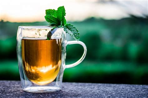 Tulsi Tea Recipe (Holy Basil Tea) | Recipes.net