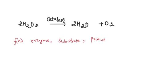 SOLVED: 2H2O2 > 2H2O + O2 What is the substrate, enzyme and end product ...