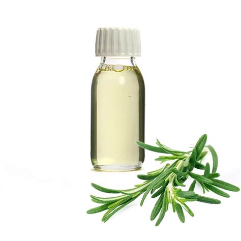 Rosemary Essential Oil -XINLI BIOLOGICAL