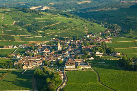 CHATEAU DE POMMARD à POMMARD membre Producteur Artisan de Qualité ...