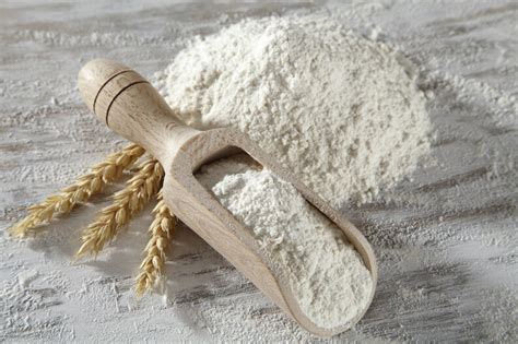 BARLEY FLOUR - LaBudde Group