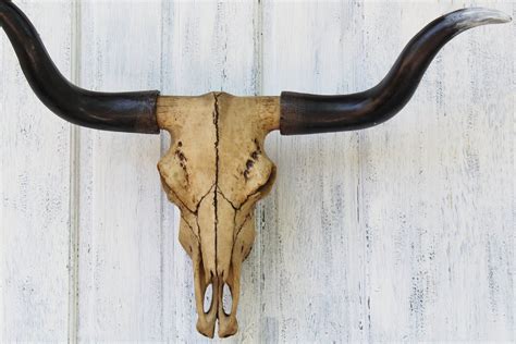 Longhorn,Longhorn Skull,Bull Skull,Living Room Decor,Rustic Wall Decor ...