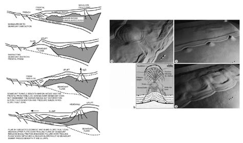 8 The role of the seamount on the destabilization of the slope along ...