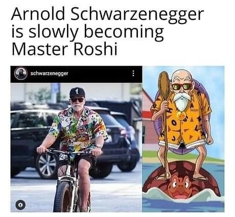 Arnold Schwarzenegger is slowly becoming Master Roshi. - Funny