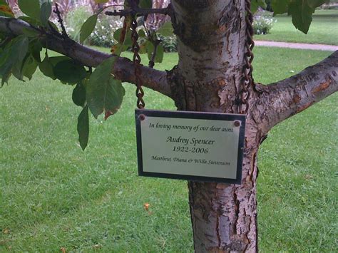 Tree Dedication Plaque | Memorial Tree Ideas