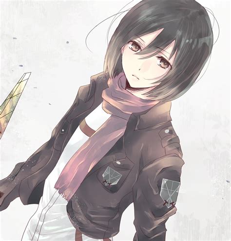 Mikasa Ackerman - Mikasa Ackerman Fan Art (36470580) - Fanpop