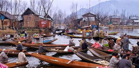 Floating Market on Dal Lake | Best of Srinagar!